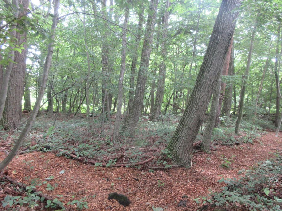Dogruncafe & Resorts Jennie West-Karuizawa Miyota Buitenkant foto